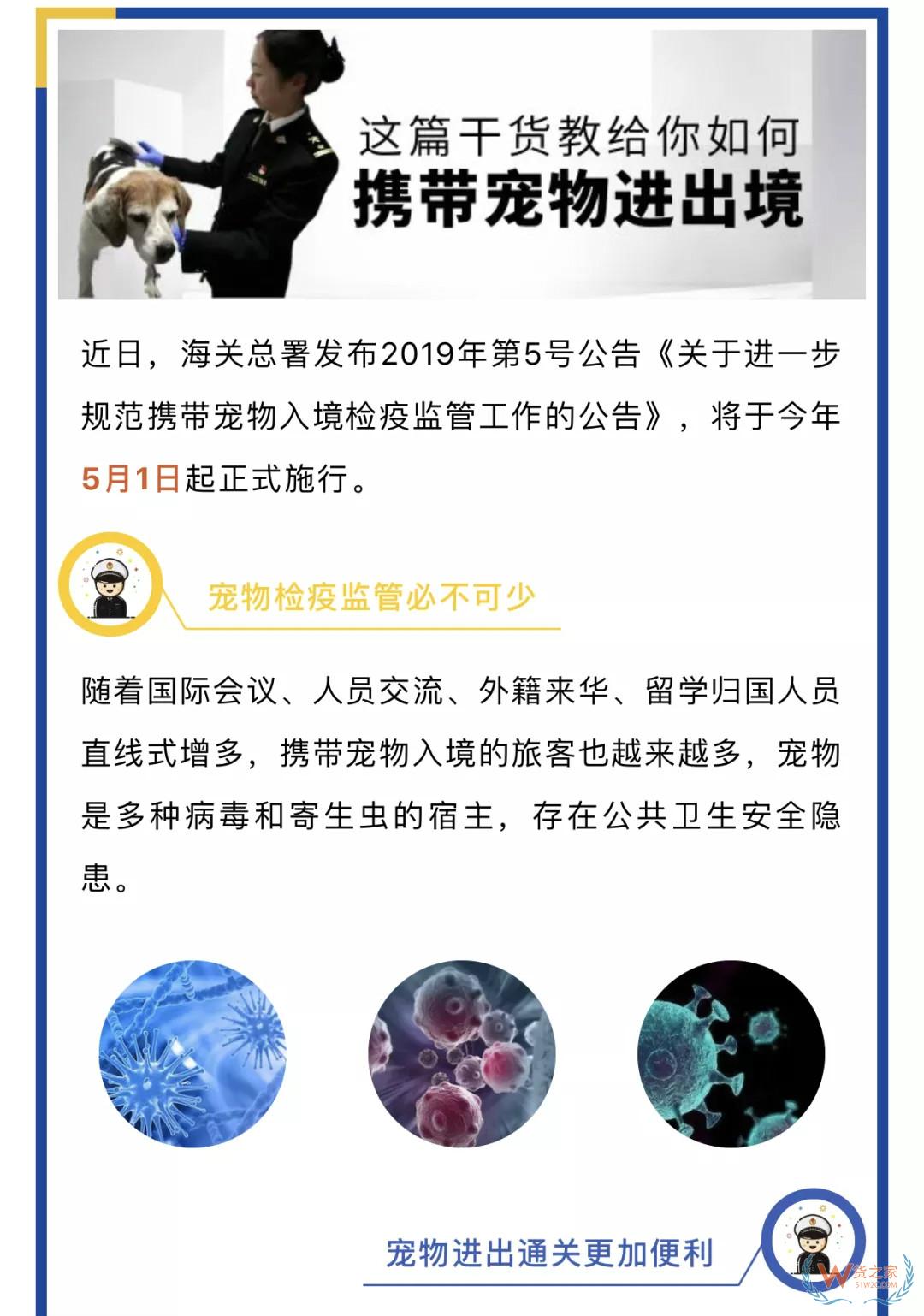 宠物入境有新规 猫狗通关更便利——货之家