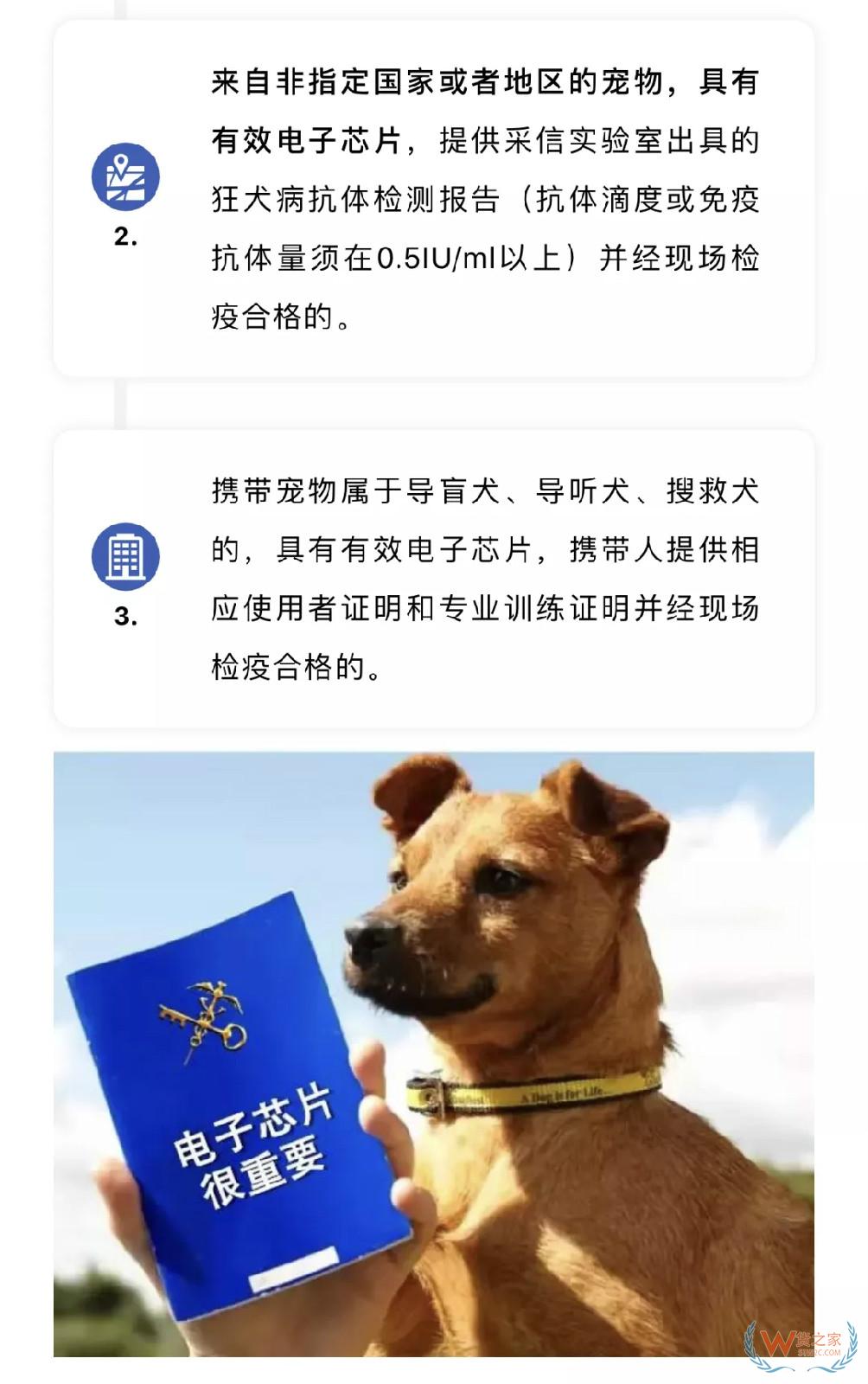 宠物入境有新规 猫狗通关更便利——货之家