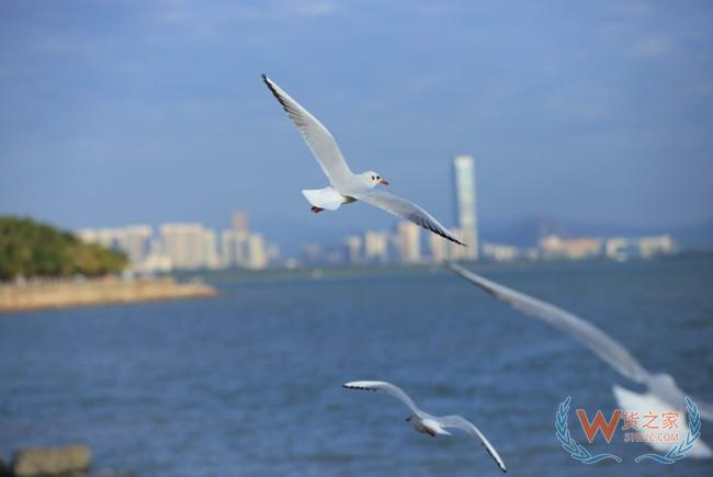 2019上半年中国与新西兰进出口额为93.5亿美元——货之家